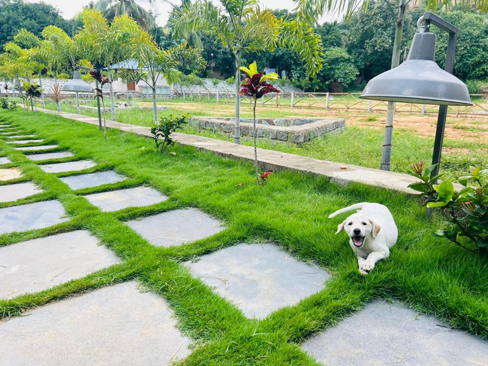 Hampi Village Resort & Tutti Cafe Eksteriør bilde